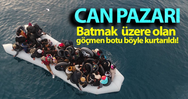 Ayvacık'ta can pazarı