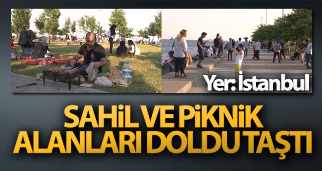 Normalleşme süreci ile birlikte sahil ve piknik alanları doldu taştı