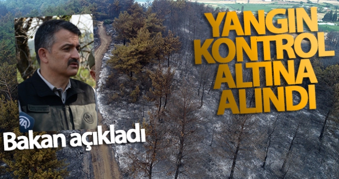 Gelibolu Yarımadası'nda çıkan orman yangını kontrol altına alındı