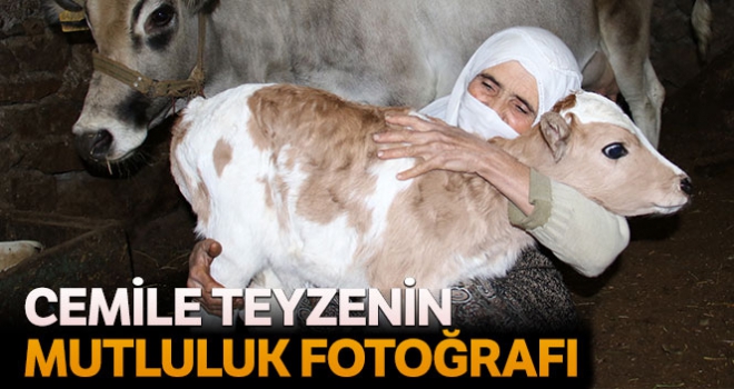 Cemile teyzenin mutluluk fotoğrafı