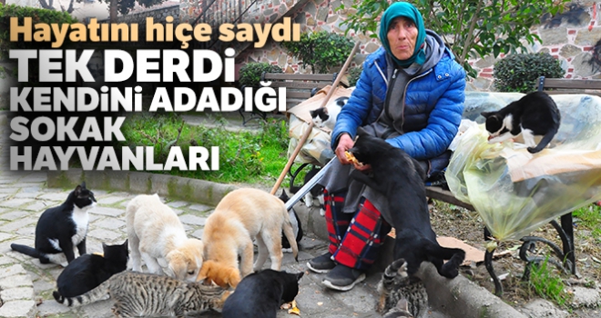 Hayatını hiçe saydı, tek derdi kendini adadığı sokak hayvanları