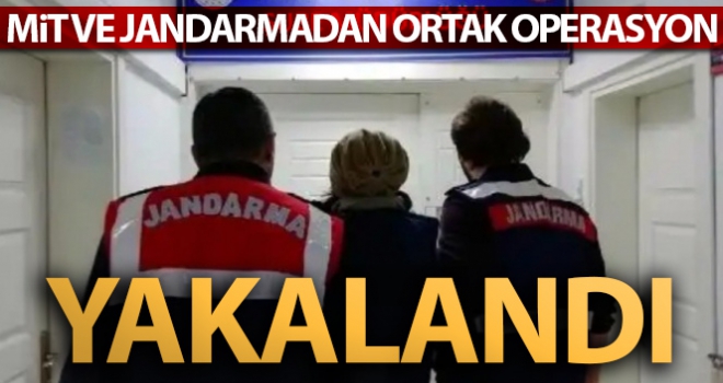 MİT ve jandarmanın ortak operasyonuyla yakalandı