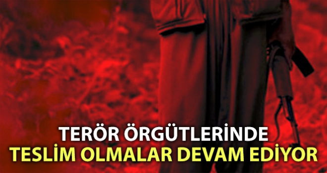 Şanlıurfa'da bir terörist teslim oldu