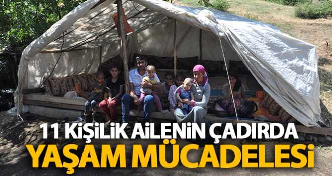 11 kişilik ailenin çadırda yaşam mücadelesi