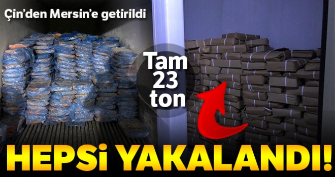 Mersin'e Çin'den getirilen kaçak 23 ton kuzu ciğeri yakalandı