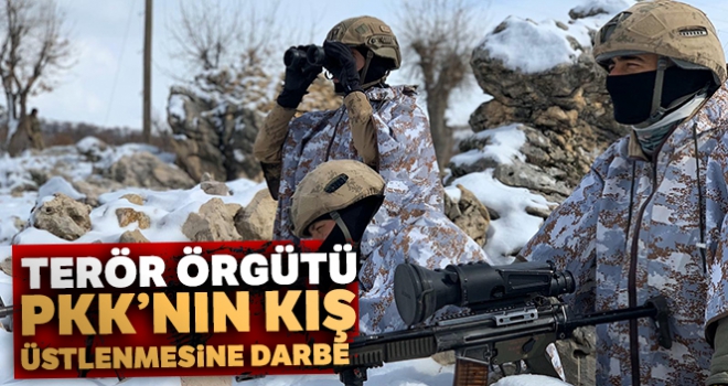 Terör örgütü PKK'nın kış üstlenmesine darbe