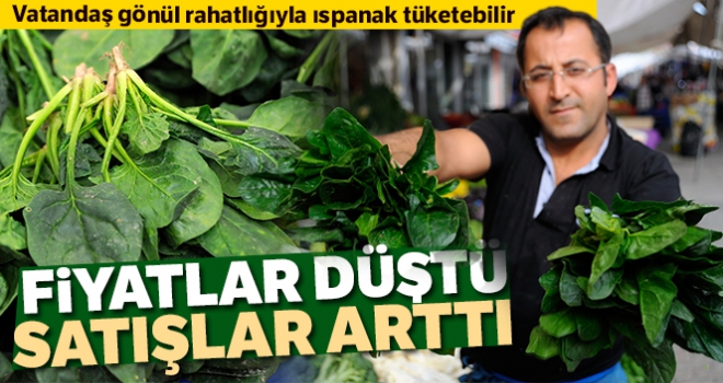 Fiyatlar düşünce ıspanak satışları arttı