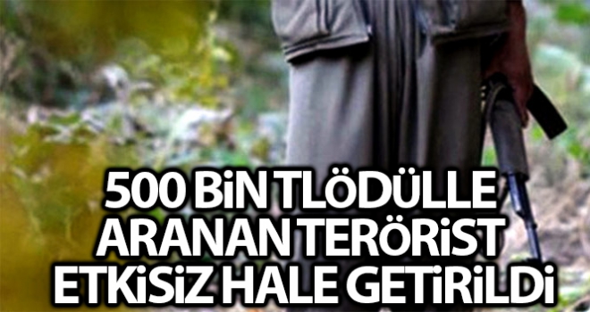 İçişleri Bakanlığı: 'Bitlis'te etkisiz hale getirilen 3 teröristten birinin gri listede yer aldığı belirlendi'