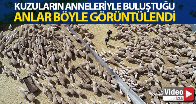 Ana kuzuları böyle görüntülendi