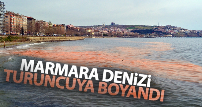 Marmara Denizi turuncuya boyandı