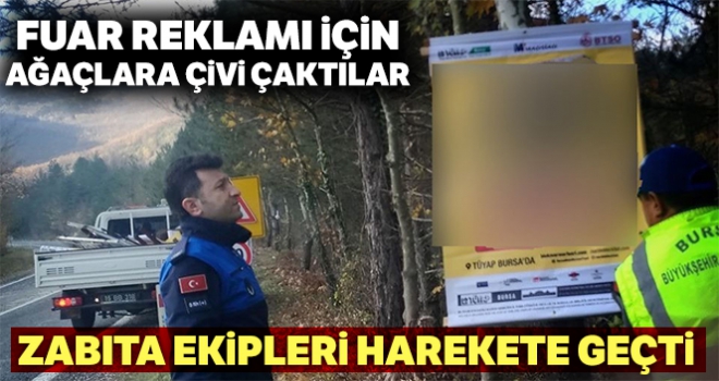 Reklam için ağaçlara çivi çaktılar