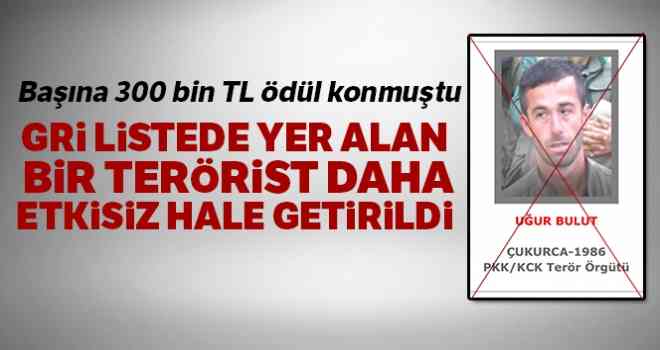 Etkisiz hale getirilen terörist gri listede çıktı