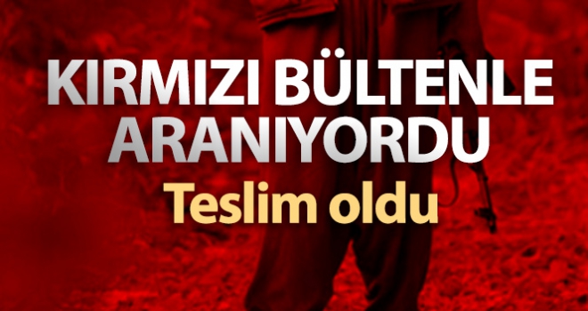 Teslim olan teröristin İnterpol tarafından kırmızı bültenle arandığı öğrenildi