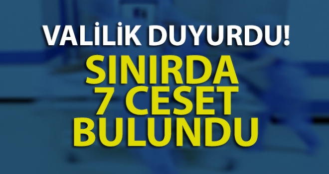 Van Çaldıran'da 7 ceset bulundu