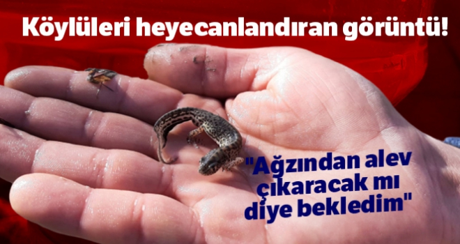 Köylüleri heyecanlandıran görüntü!