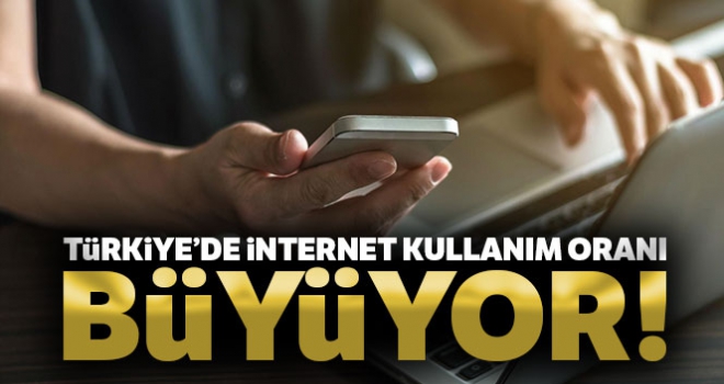 Türkiye'de internete erişim oranı yüzde 88 oldu