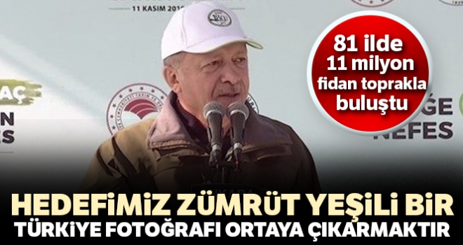 Cumhurbaşkanı Erdoğan: 'Hedefimiz zümrüt yeşili bir Türkiye fotoğrafı ortaya çıkarmaktır'