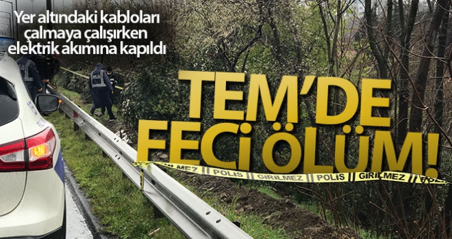 TEM Otoyolu kenarında feci ölüm