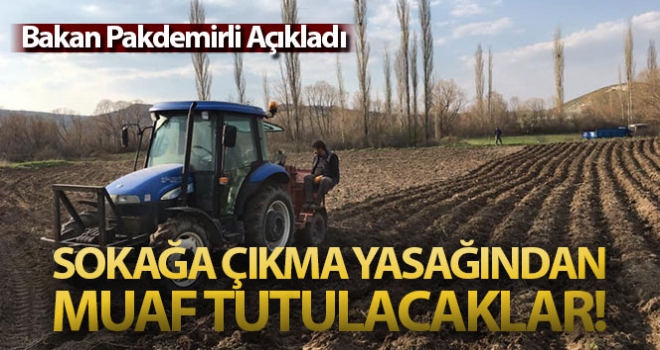 Tarım ve hayvancılık faaliyetlerinde bulunanlar sokağa çıkma yasağından muaf tutulacak