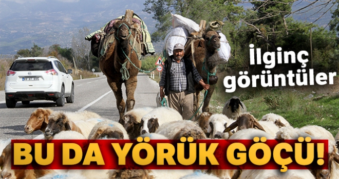 Yörük göçü ilginç görüntüler oluşturdu