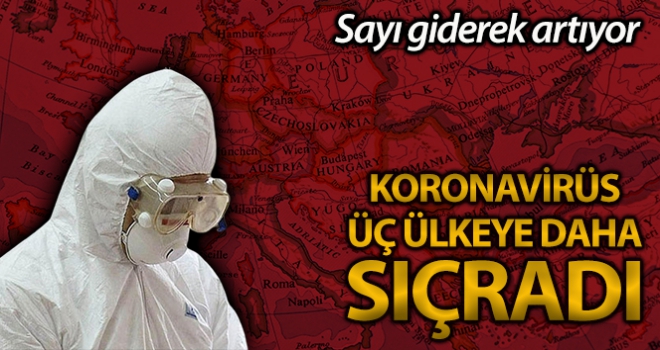 Norveç'te ilk korona virüsü vakası