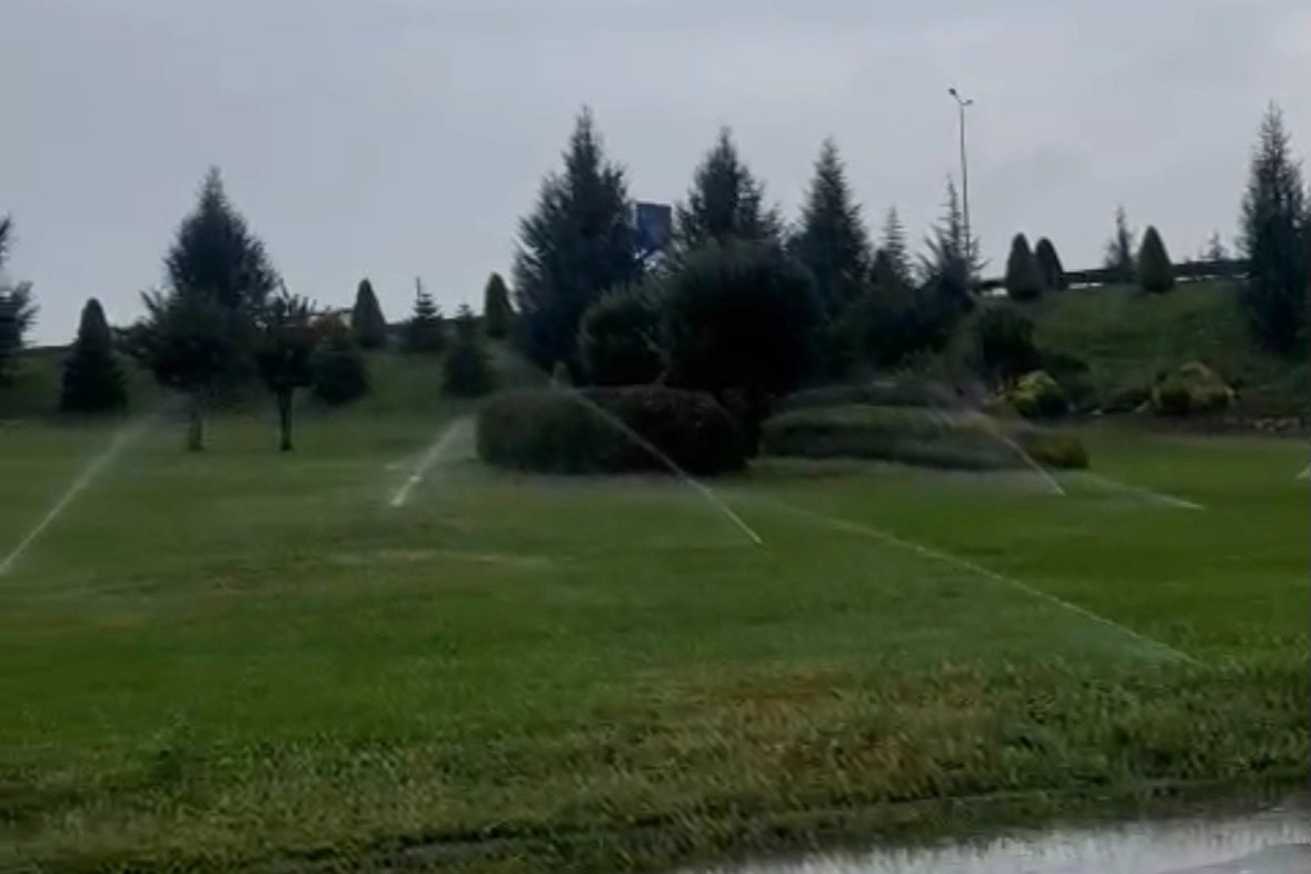 Düzce'de yağışlı havada ilginç görüntüler