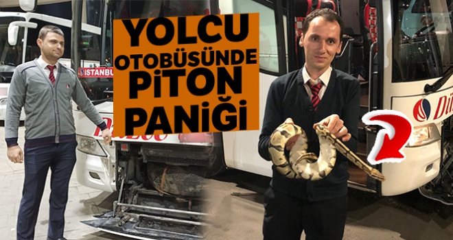 Yolcu otobüsünde valizden kaçan piton paniğe neden oldu