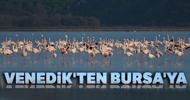 Venedik'ten Bursa'ya