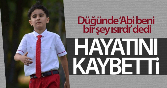 Abi beni bir şey ısırdı' diyen küçük Hamza hayatını kaybetti