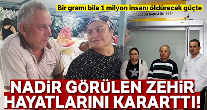 Nadir görülen zehir, karı kocanın hayatını kararttı