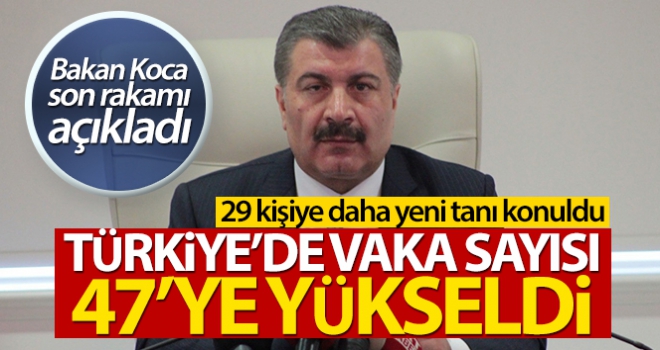 Türkiye'de korona virüsü vaka sayısı 47'ye yükseldi