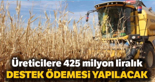 Üreticilere 425 milyon liralık destek ödemesi yapılacak