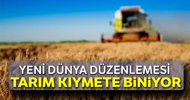 Tarım ve gıda kıymete biniyor