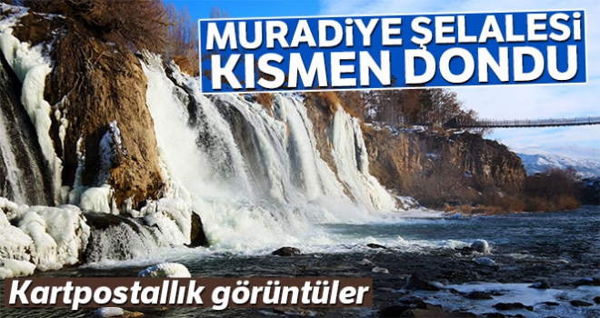 Muradiye Şelalesi kısmen dondu