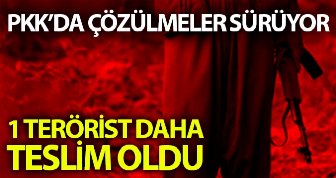 Terör örgütü PKK'da çözülmeler sürüyor: Bir terörist daha teslim oldu