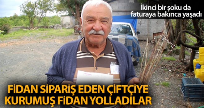 TV'den fidan sipariş eden çiftçiye kurumuş fidan yolladılar