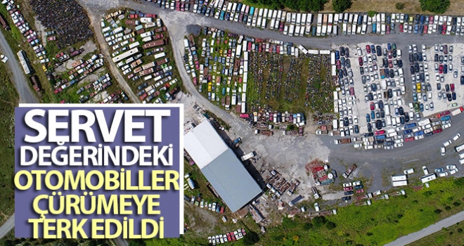 Servet değerindeki otomobiller çürümeye terk edildi