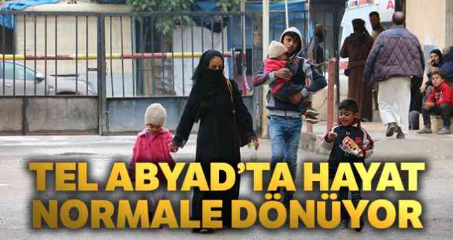 Tel Abyad'ta hayat normale dönüyor