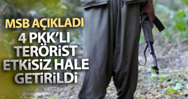 4 PKK'lı terörist etkisiz hale getirildi