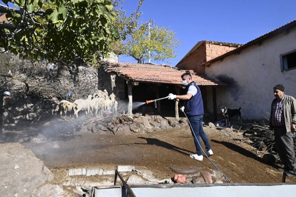 Manisa'da mavi dil hastalığıyla mücadele kapsamında 111 mahalle ilaçlandı