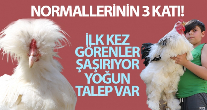 Görenler şaşırıyor, yoğun talep var