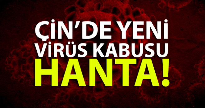 Çin'de yeni virüs kabusu: Hanta |Hanta virüsü nedir?