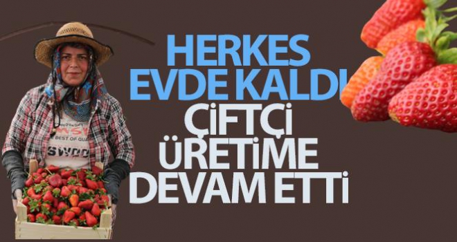 Herkes evde kaldı, çiftçi üretime devam etti