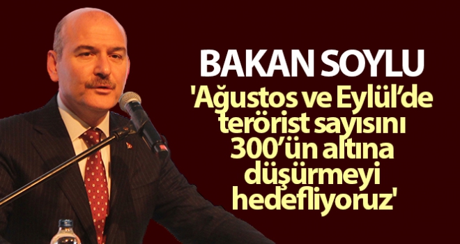 'Ağustos ve Eylül'de terörist sayısını 300'ün altına düşürmeyi hedefliyoruz