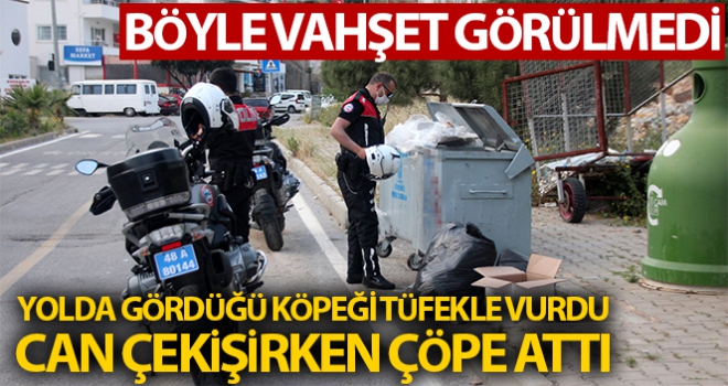 Böyle vahşet görülmedi