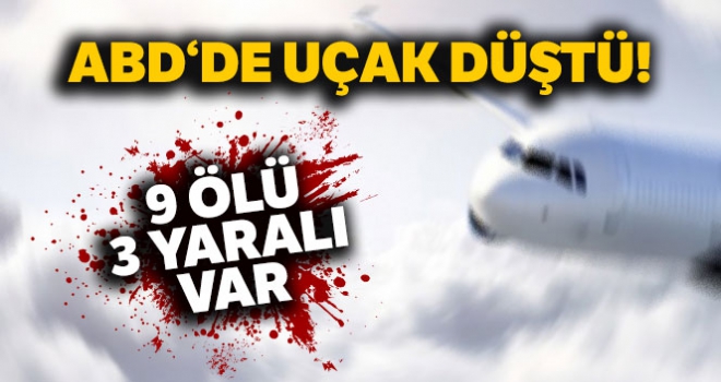 ABD'de küçük uçak düştü: 9 ölü, 3 yaralı