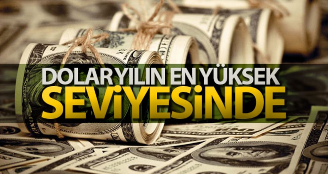 Dolar yılın en yüksek seviyesinde