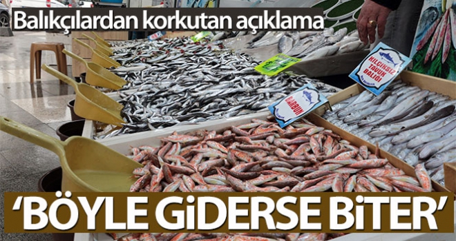 Balıkçılar açıkladı: 'Böyle giderse balıkçılık biter'