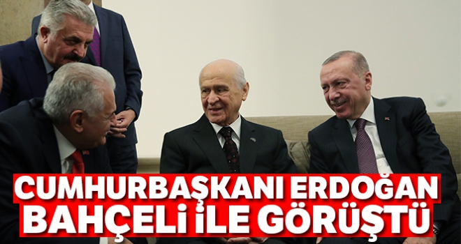 Cumhurbaşkanı Erdoğan, MHP lideri Bahçeli ile görüştü