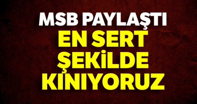 MSB: Bayrak bir milletin onurudur